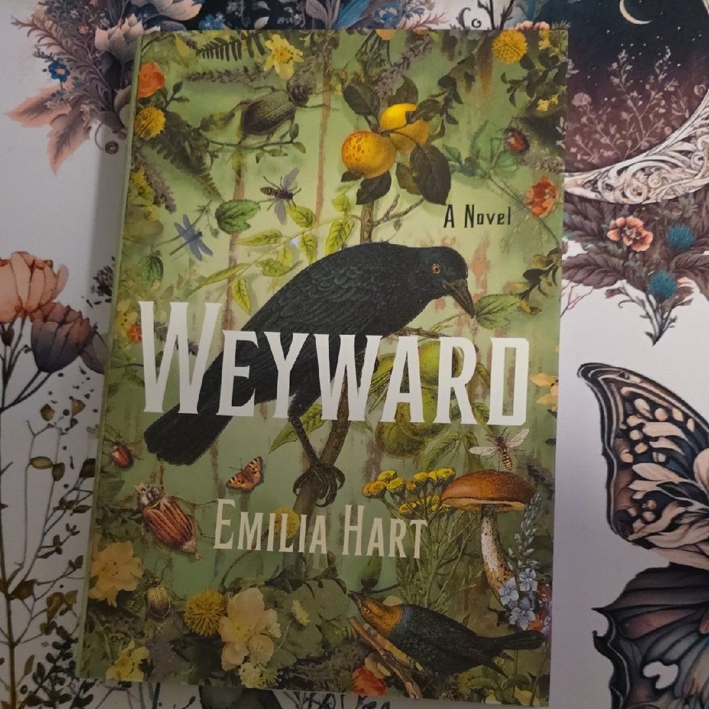 Weyward Novel by Emilia Hart